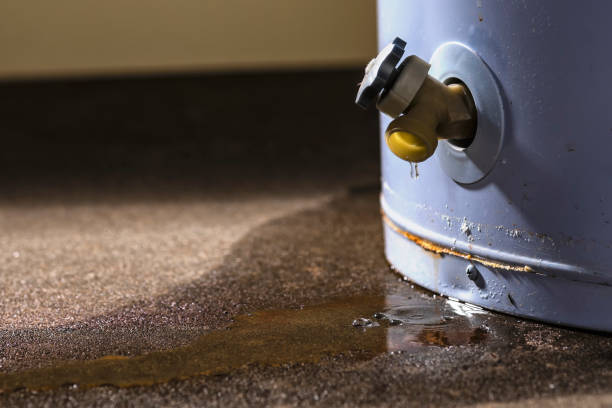 Best 24-hour water damage restoration  in Duncan Falls, OH
