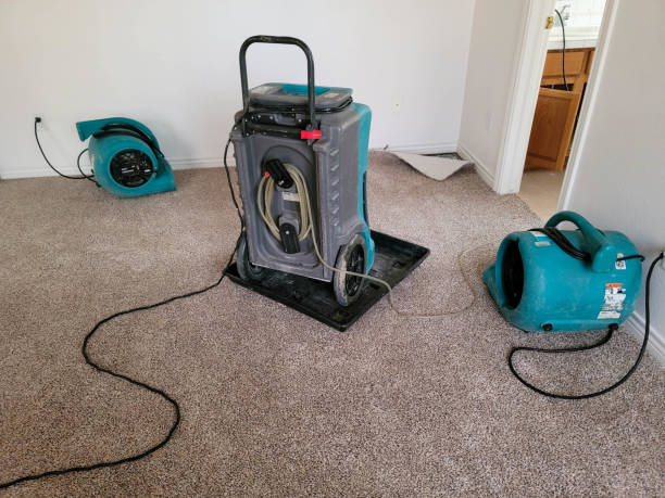 Best Emergency water damage restoration  in Duncan Falls, OH