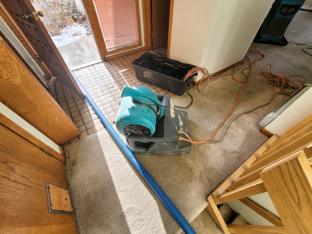 Best Water damage contractors near me  in Duncan Falls, OH