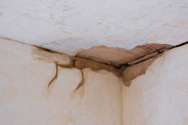Best Commercial water damage restoration  in Duncan Falls, OH