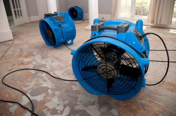 Best 24/7 water damage repair  in Duncan Falls, OH