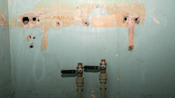 Best Water damage restoration near me  in Duncan Falls, OH
