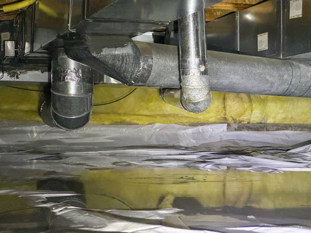 Best Mold removal after water damage  in Duncan Falls, OH