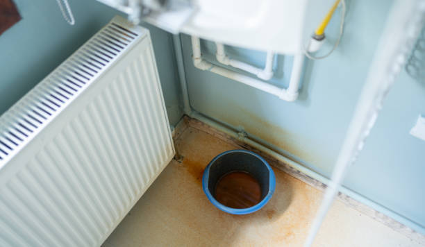 Best Residential water damage restoration  in Duncan Falls, OH