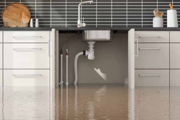 Best Water damage cleanup near me  in Duncan Falls, OH