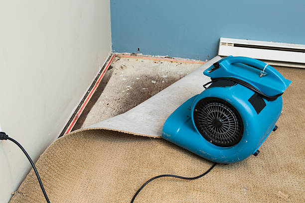 Best Flood damage cleanup  in Duncan Falls, OH
